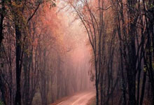 球速体育:2021賽季亞冠聯賽淘汰賽賽程表.