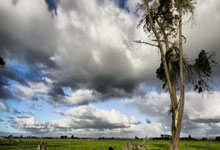 球速体育官方:2020歐洲杯決賽時間.