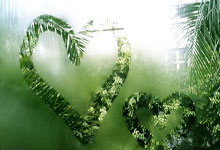 英超第16輪切爾西3-2利茲聯 芒特破門若日尼奧點射梅開二度.