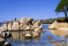 英超第25輪水晶宮0-0利物浦 利物浦兩度中柱遺憾悶平!衝擊前四恐生變數!.